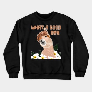 What A Good Day Llama Vicuna Guanaco Breeder Alpaca Crewneck Sweatshirt